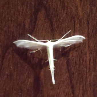 IMG_20210123_205435.jpg