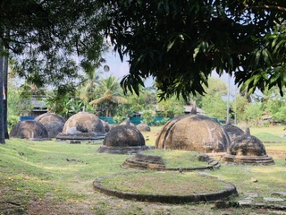 IMG_3508.jpeg