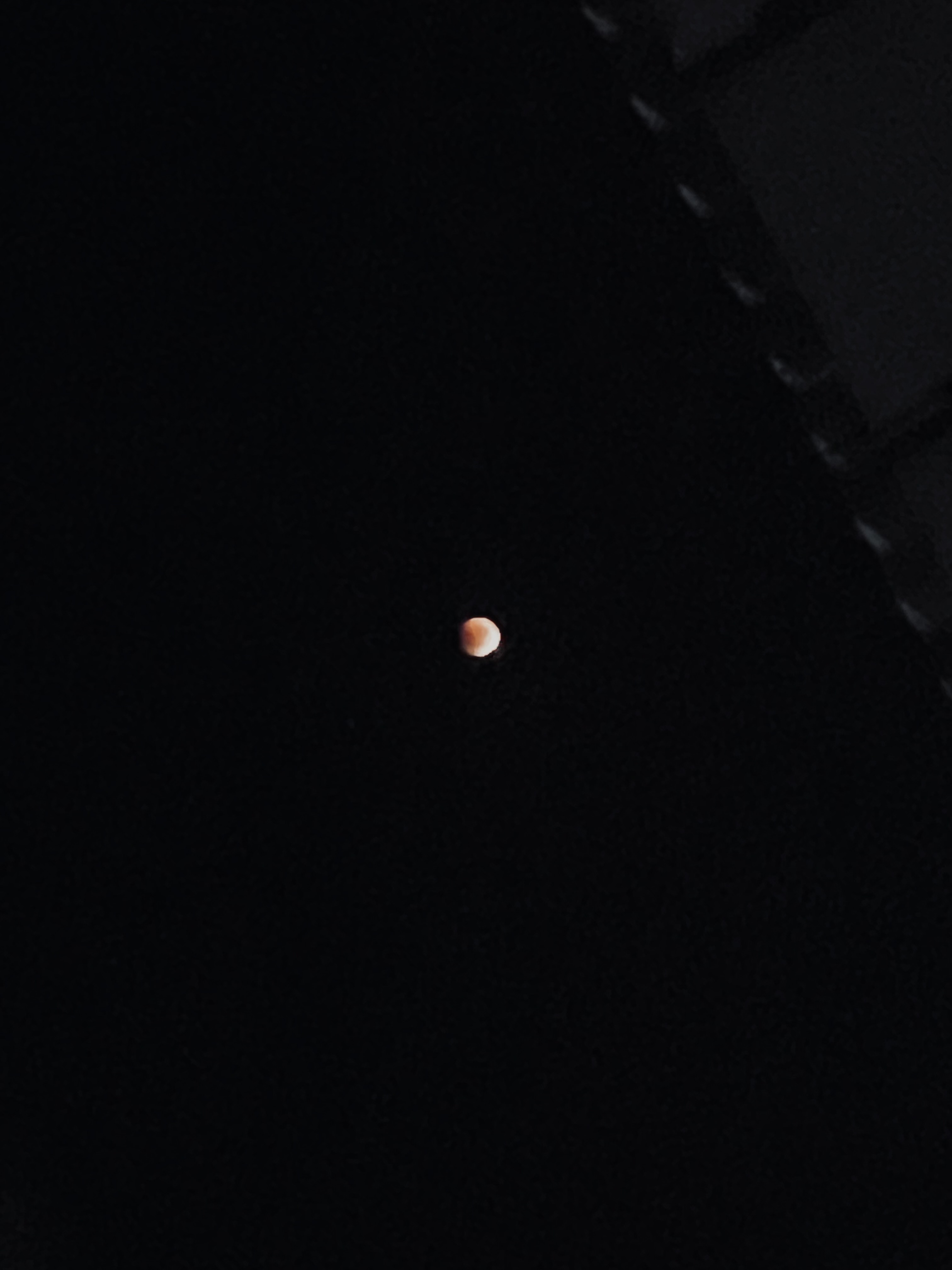 IMG_4168.jpeg