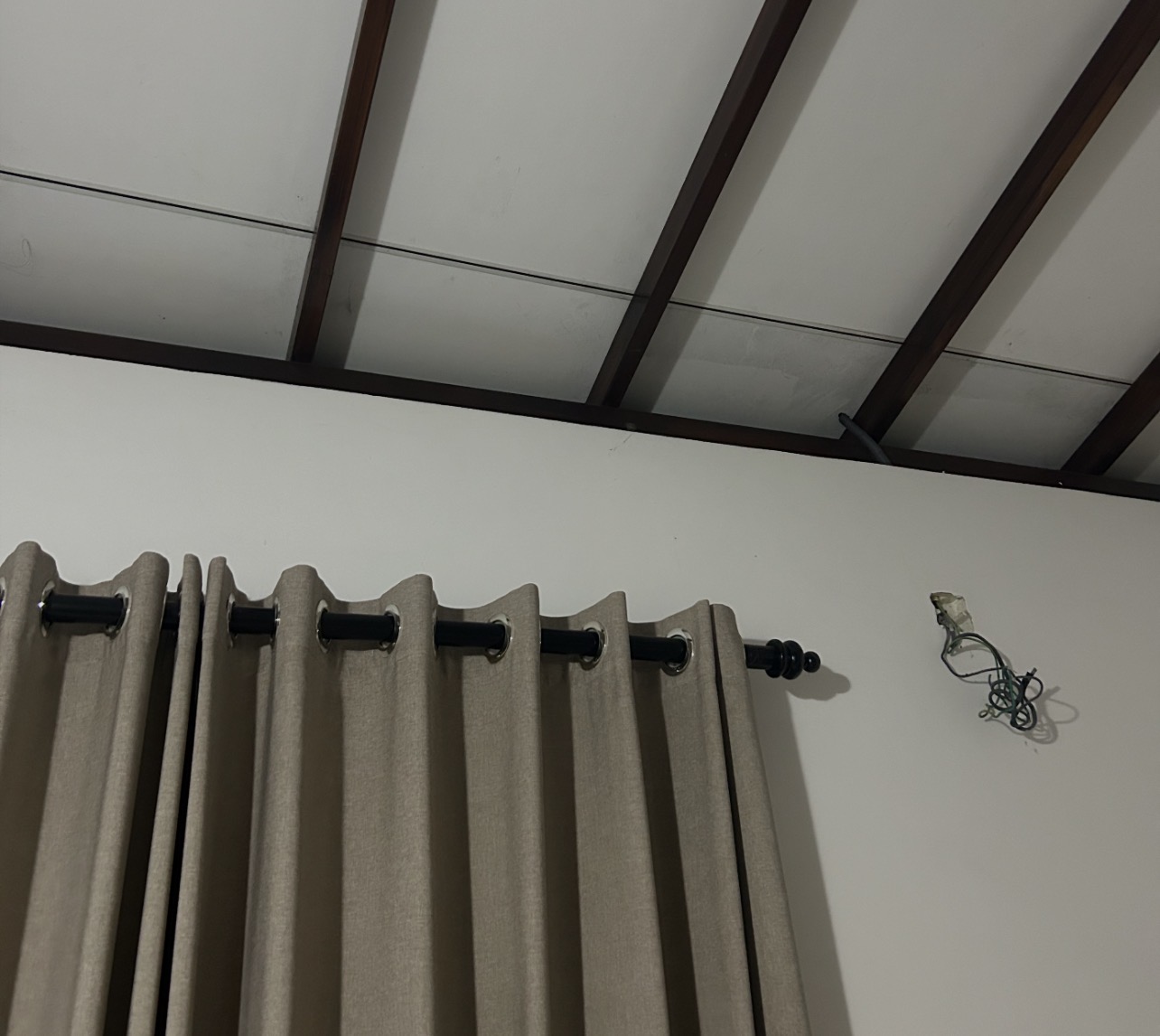 IMG_6467.jpeg
