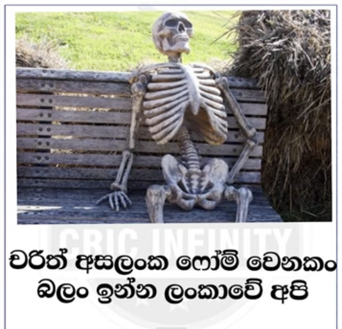 IMG_6674.PNG