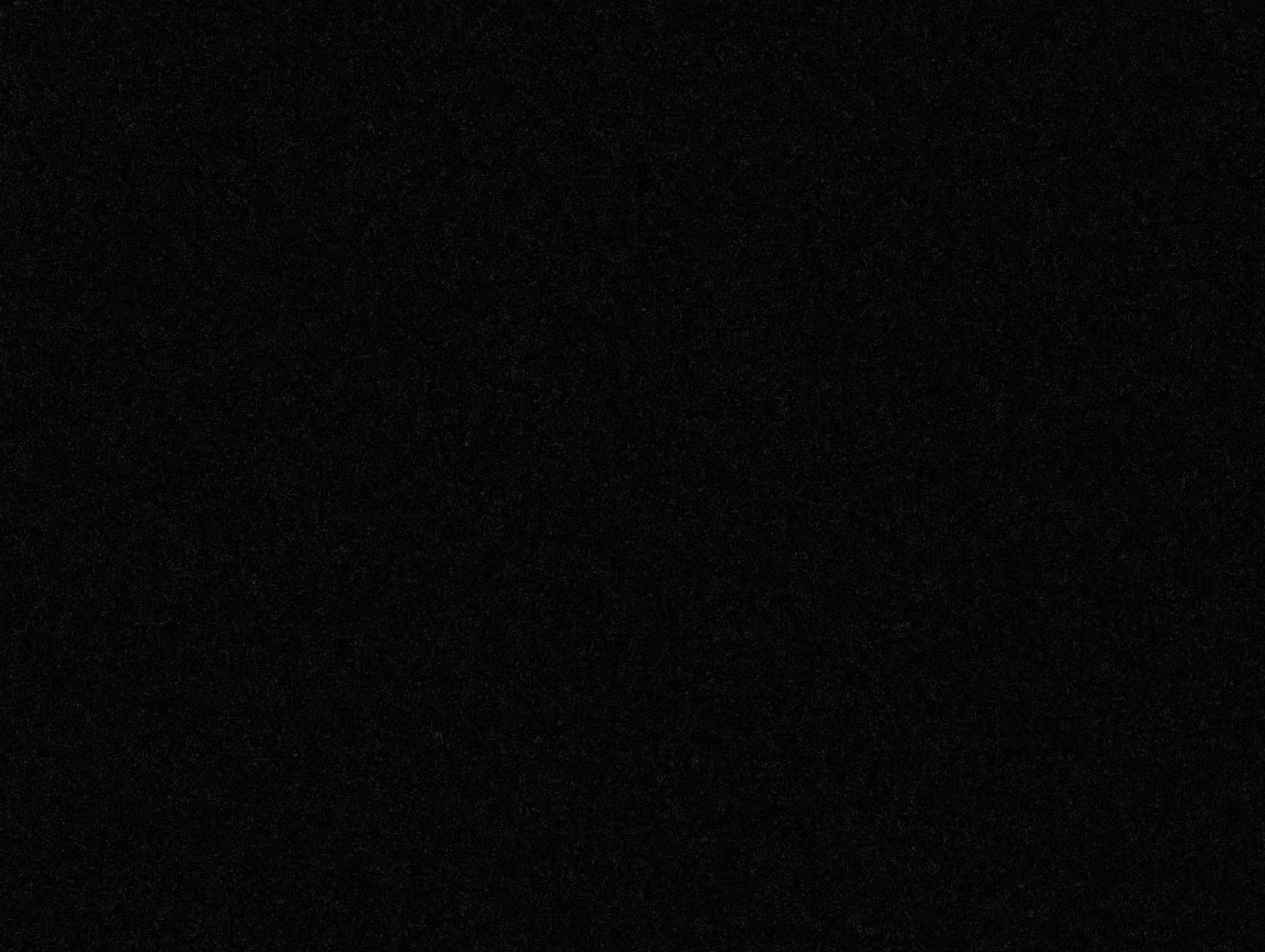 IMG_8358.jpeg