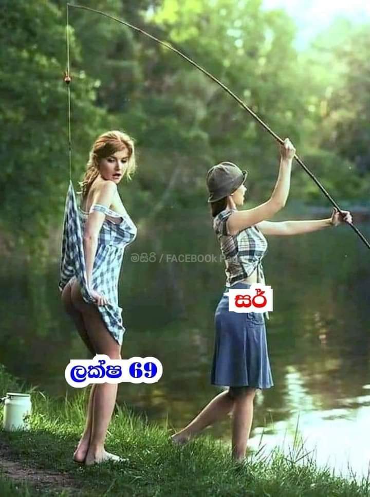 index.jpg