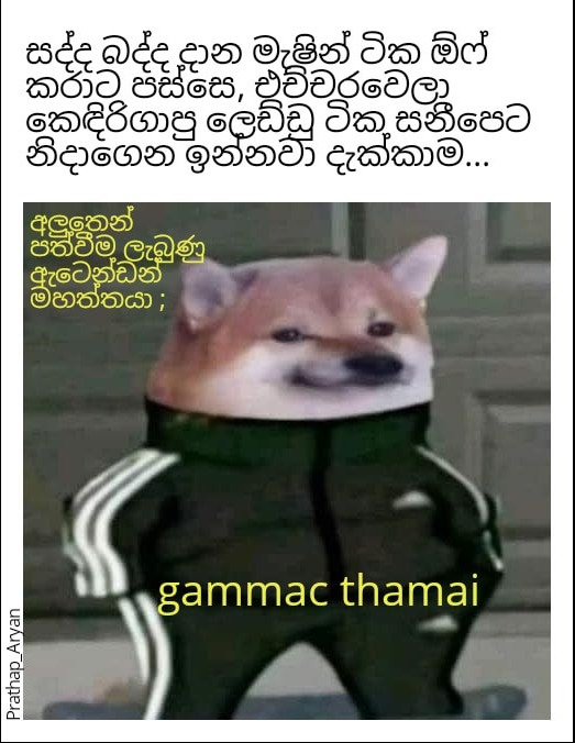 index.jpg