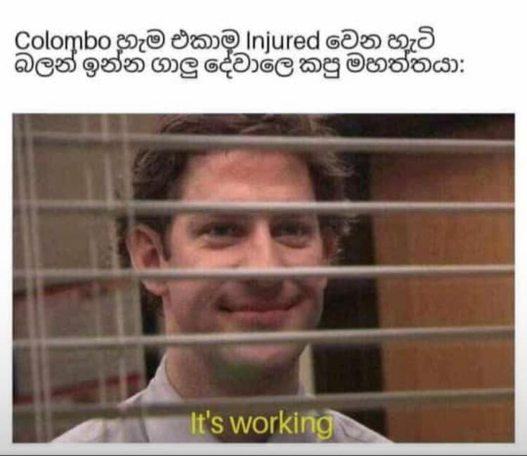 index5.jpg