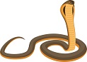 istockphoto-697077394-612x612.jpg