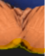 kakka.PNG