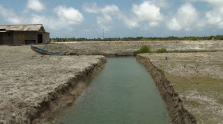 kalpitiya-kadolana.jpg