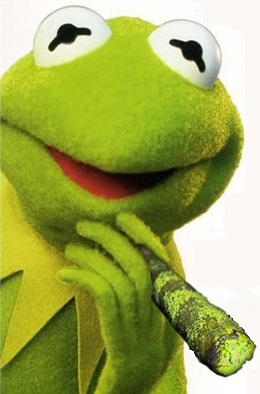 kermit-700x426.jpg