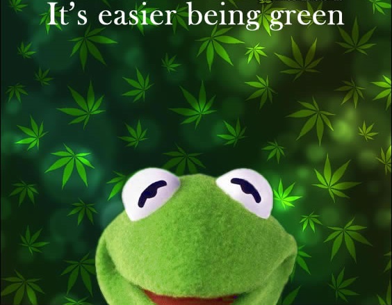 kermit-stoner-easier-green-weedmemes - Copy.jpg