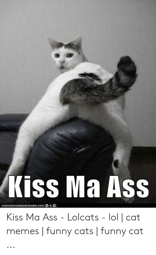 kiss-ma-ass-ichnhhschee2eurger-comr-kiss-ma-ass-lolcats-49102914.png