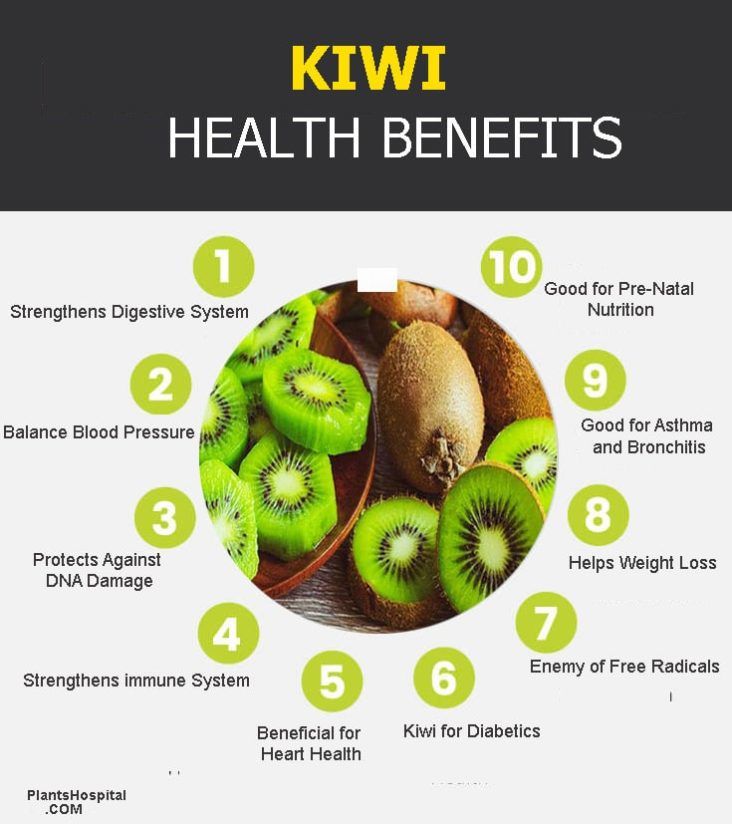 kiwi-graphic.jpg