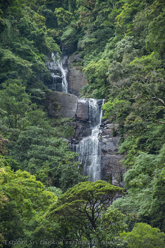 Kolapathana Falls (2).jpg