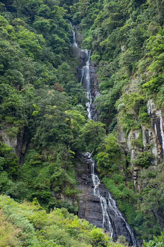 Kolapathana Falls.jpg