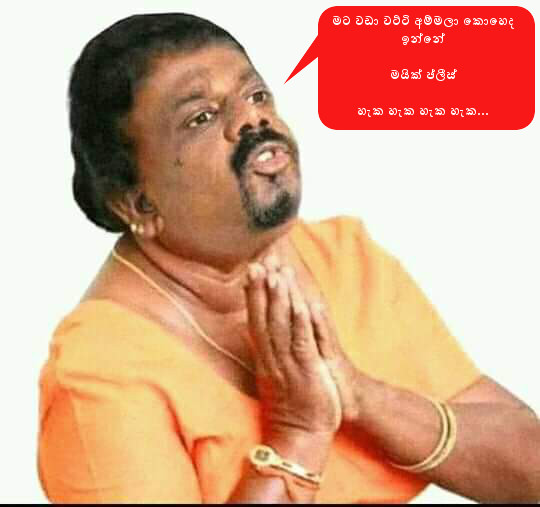 lapaya.jpg