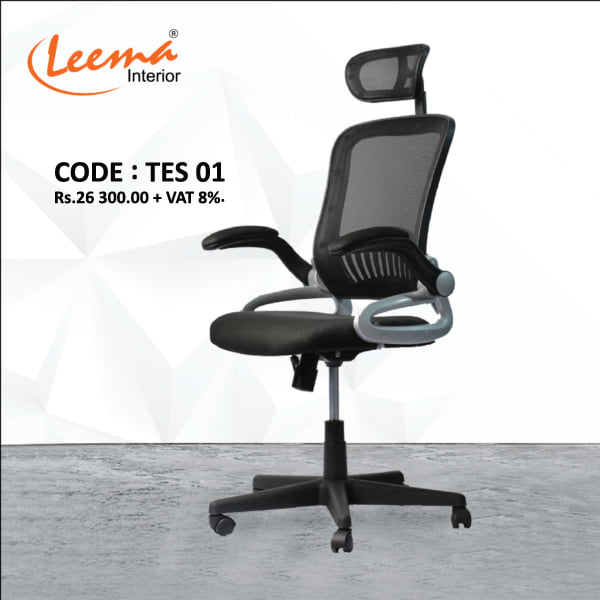 Leema TES 01.jpg