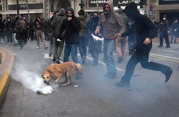 loukanikos_06.jpg