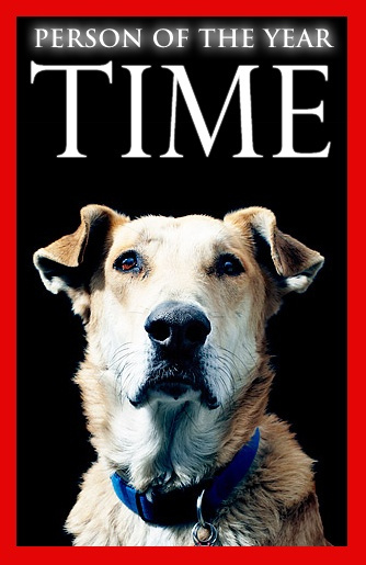loukanikos_time_magazine.jpg