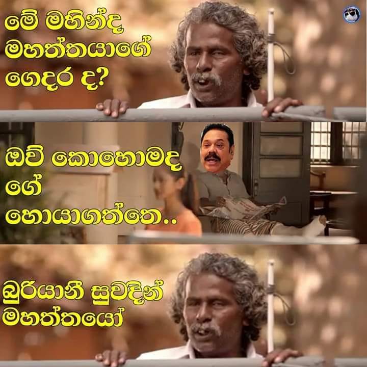 mahiii.jpg