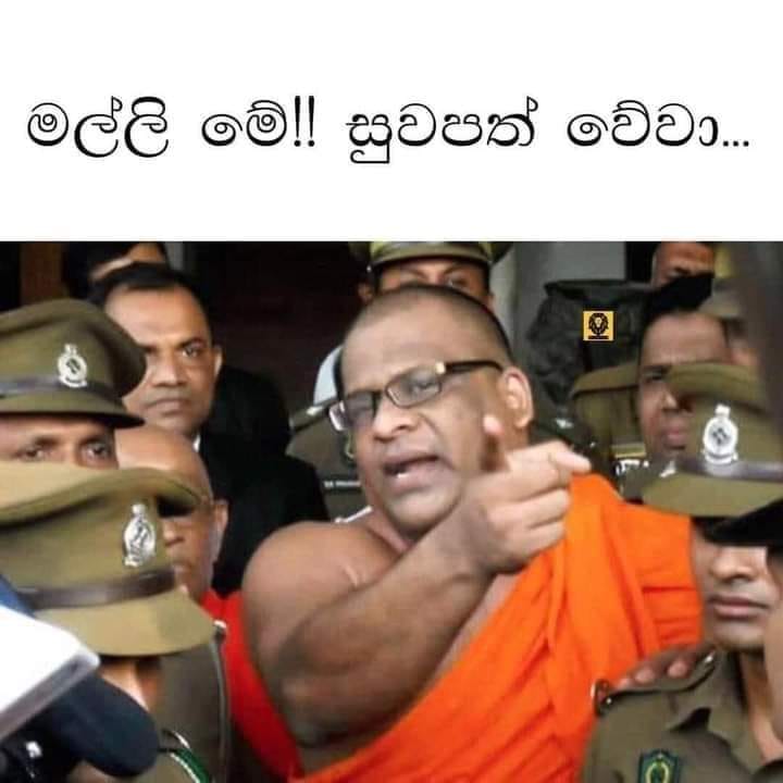 malli.jpg