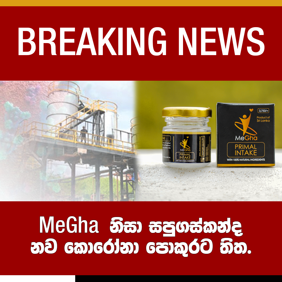 Megha2.png