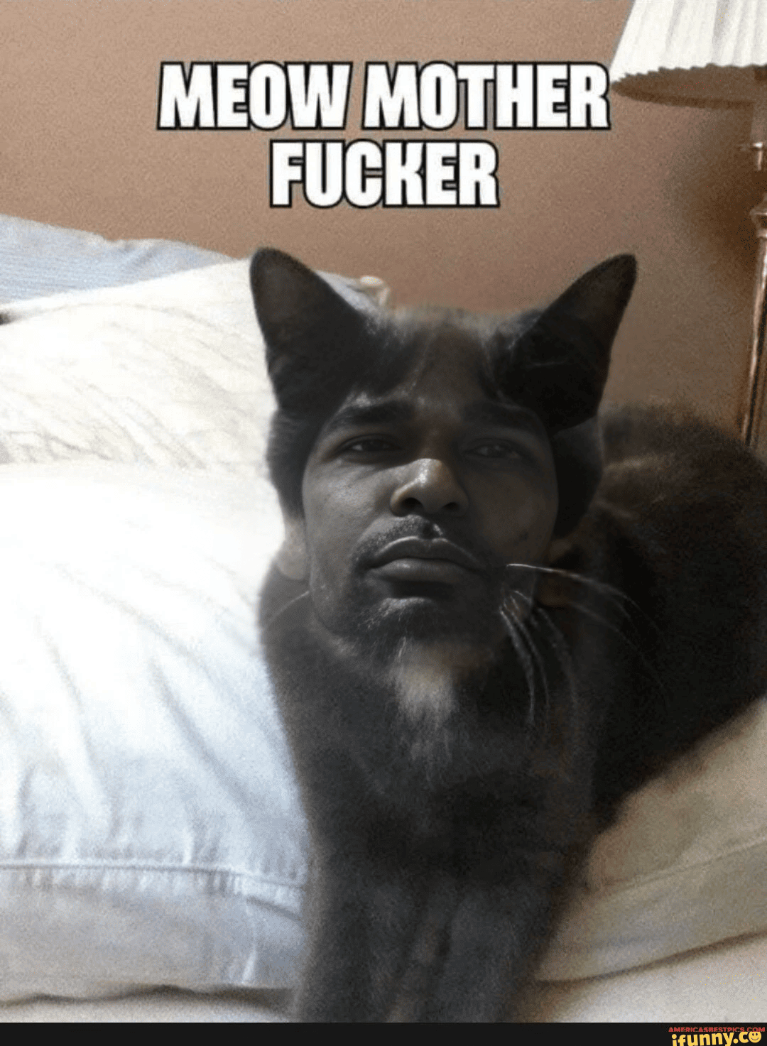 meow-mf-1-png.251758