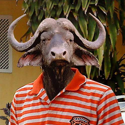 mi haraka.jpg