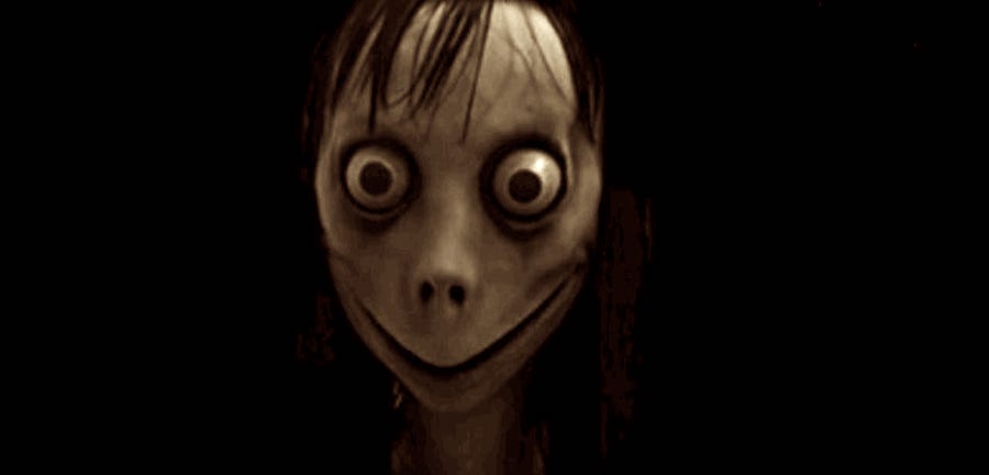 Momo.jpg