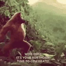 monkey-dance.gif
