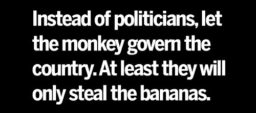 monkey.jpg