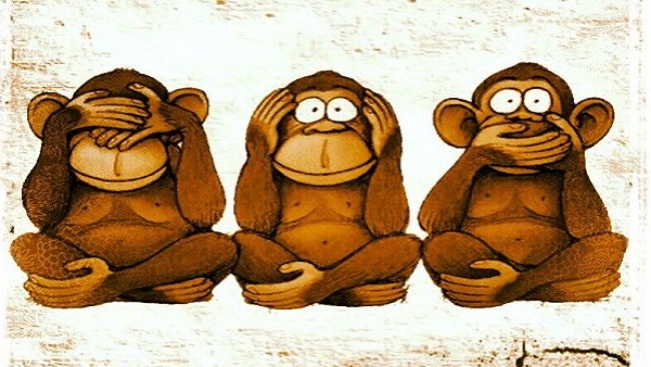 monkey.jpg