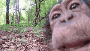monkey-licking (1).gif