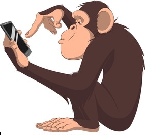monkey-smartphone-260nw-293794610-1.jpg