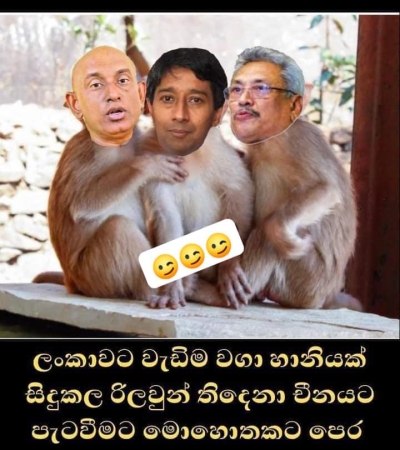 monkey_China.jpg