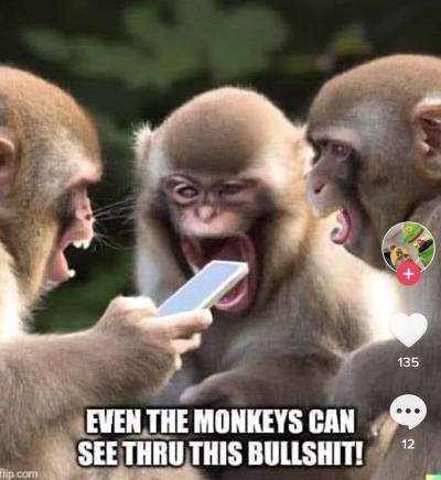 monkeypox_bull.jpg