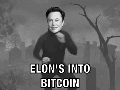 monophy.gif