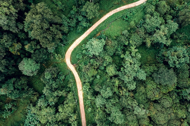 mountains-green-forest-evening-bird-s-eye-view_213396-1421.jpg