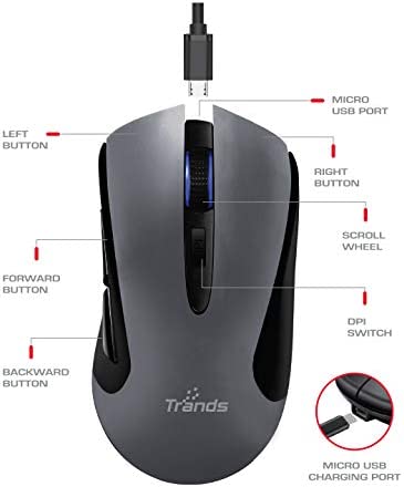 mouse.jpg