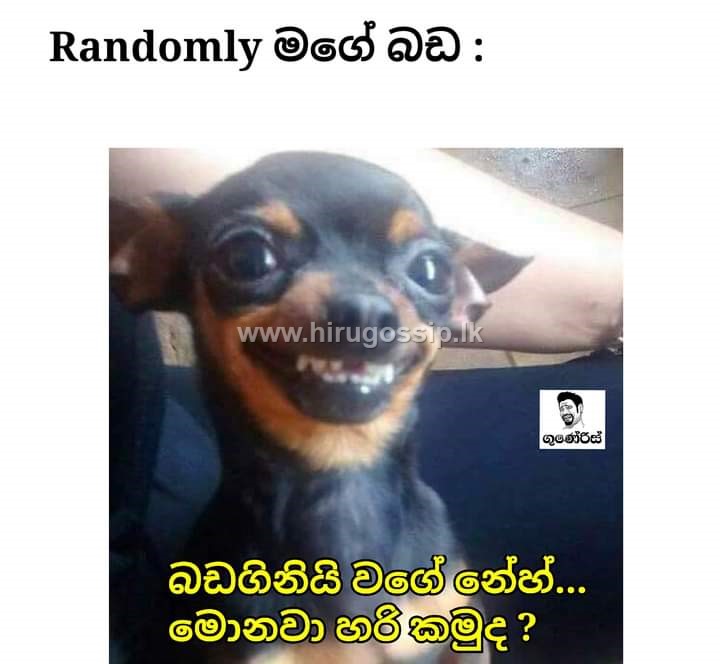muwaaawarana_15.jpg