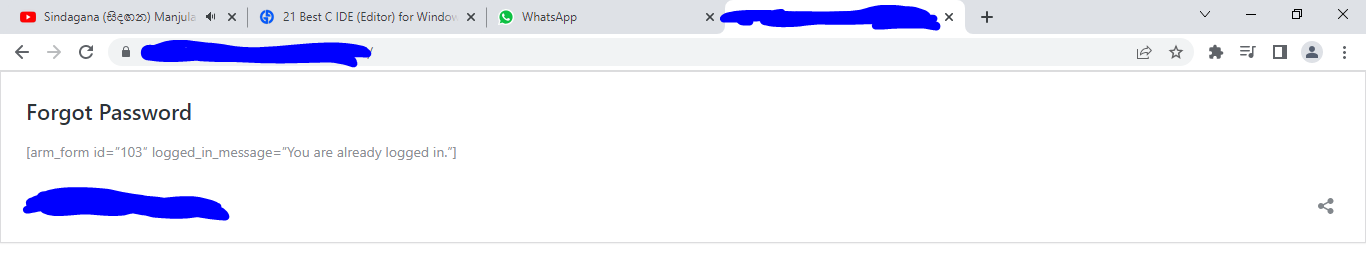 new bug bounty.PNG