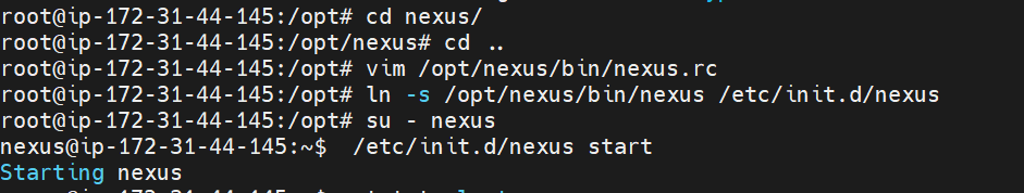 nexus1.PNG