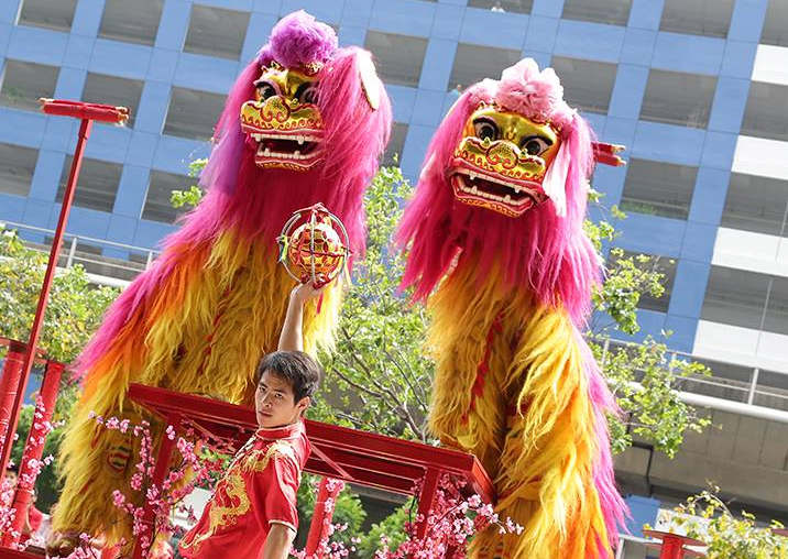 Northern Lion Dance.jpg