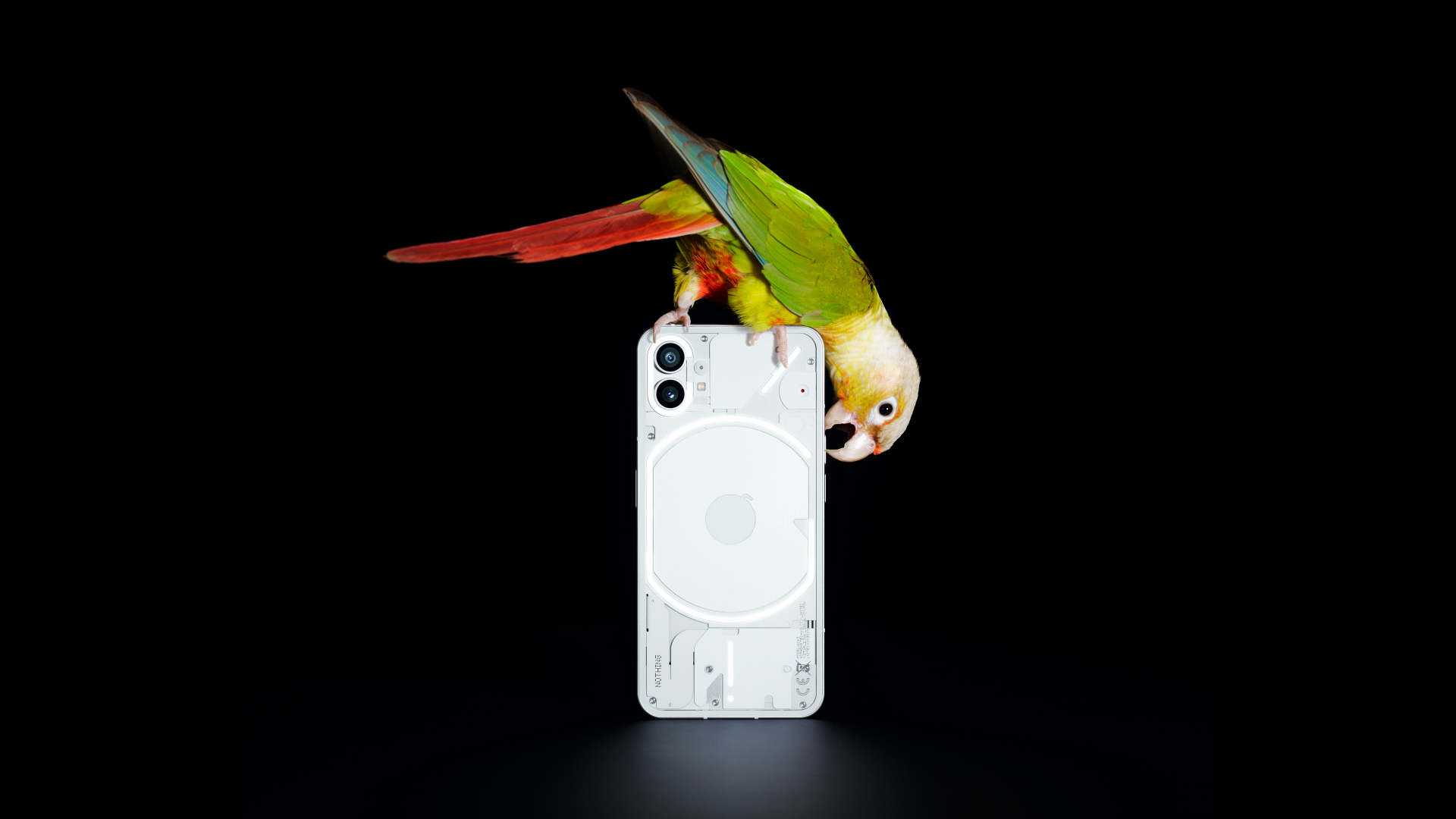Nothing-phone-1-design-reveal.jpg