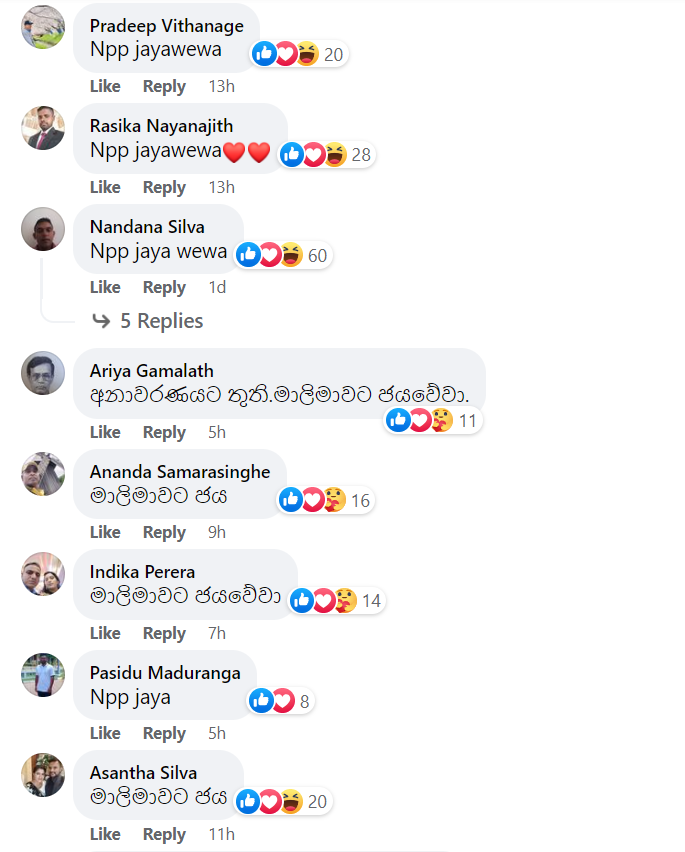 npp.png