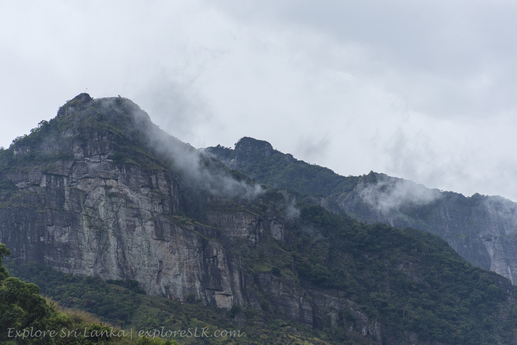 On the Way to Kolapathana Falls (3).jpg