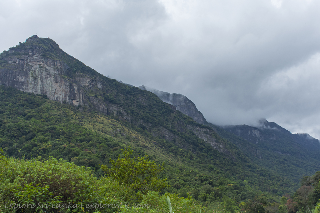 On the Way to Kolapathana Falls (6).jpg