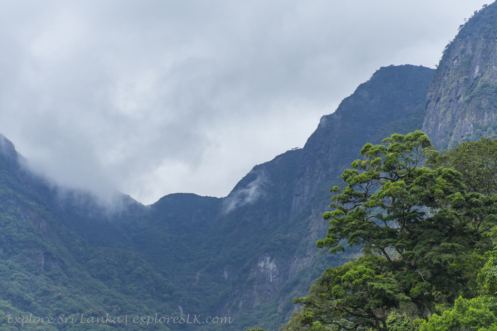 On the Way to Kolapathana Falls (7).jpg