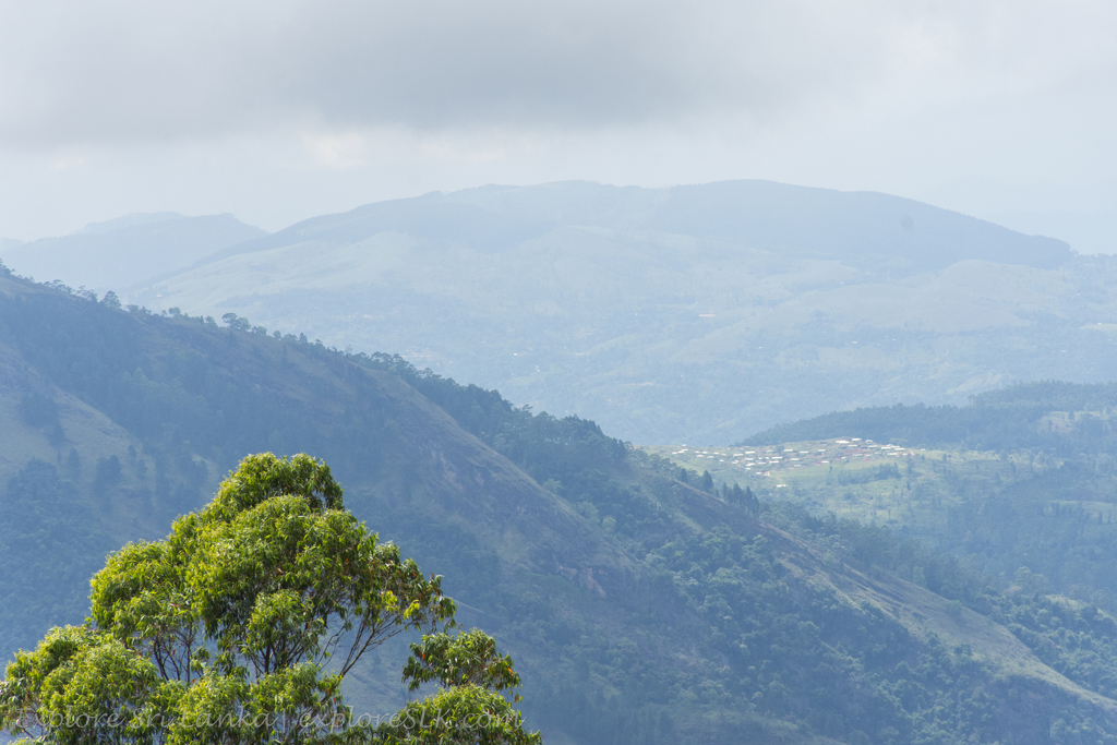 On the Way to Mandaram Nuwara.jpg