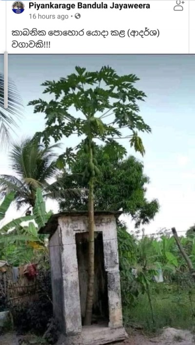 organic_farming.jpg