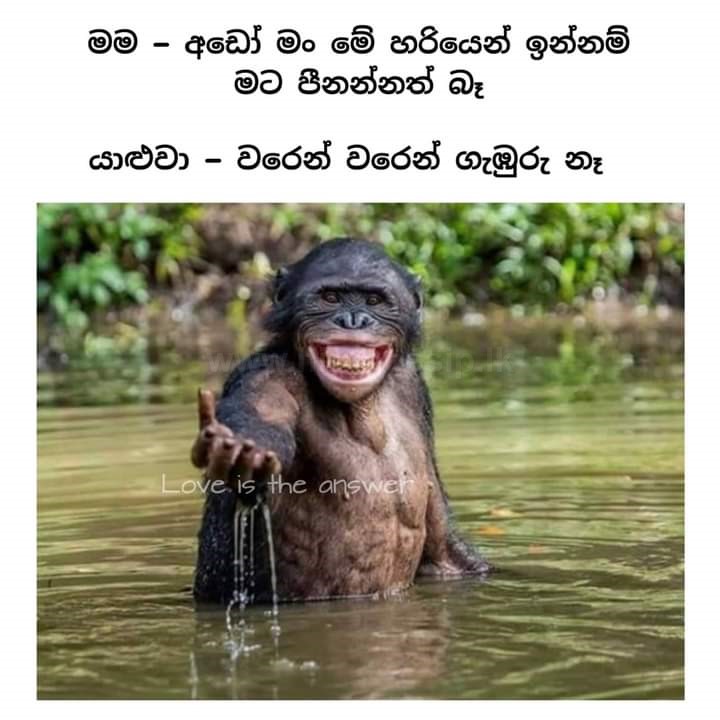 paliyagoda_11.jpg